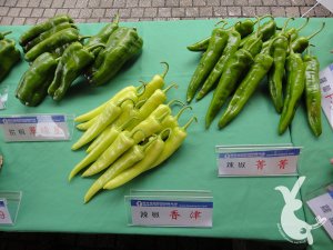 DSC00194