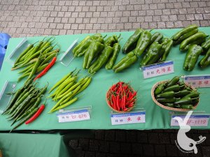 DSC00197