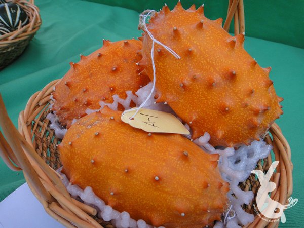 DSC00184
