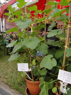 DSC00176