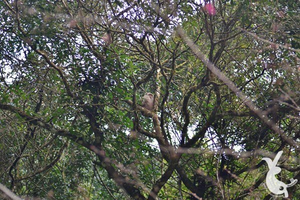 DSC_0876.JPG