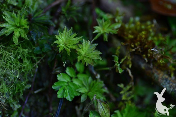 DSC_0992.JPG