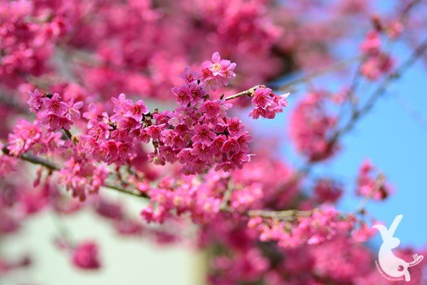 DSC_1112.JPG