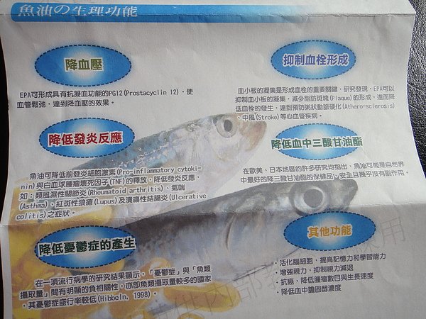 DSC02398.JPG
