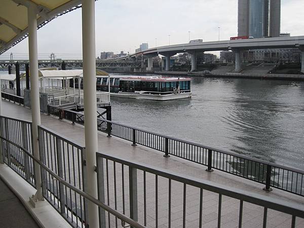 IMG_0978.JPG