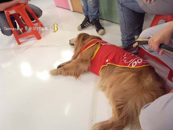 tvbs11.jpg