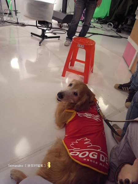 tvbs10.jpg