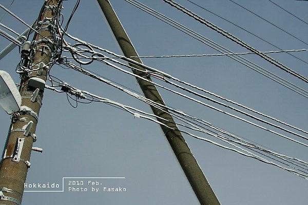 08.jpg