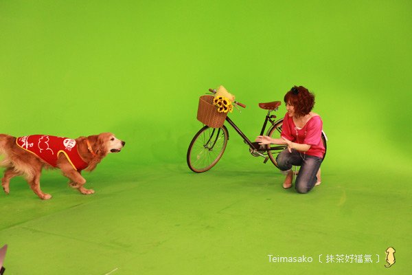 tvbs06.jpg
