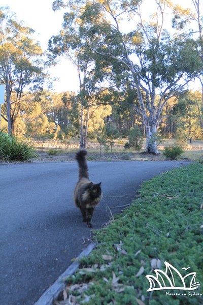 Sydney100814_22.jpg