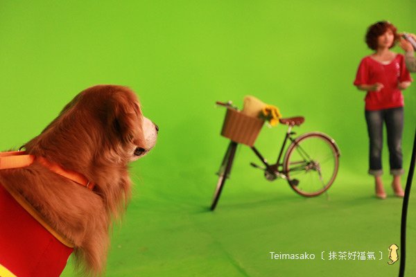 tvbs03.jpg