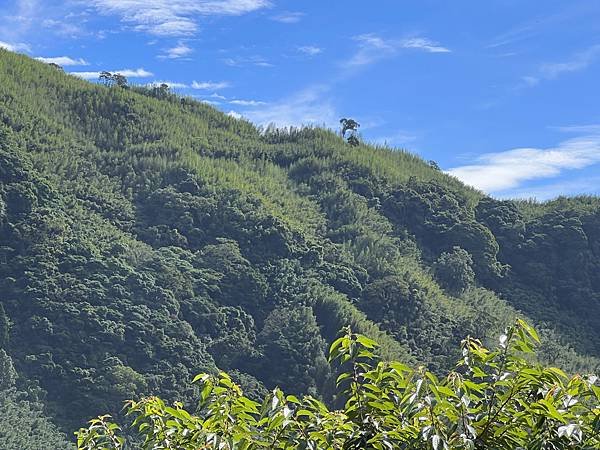 遇見嵨繞（小木屋區）