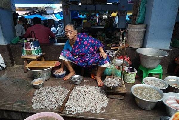 印度小花帶你逛印度魚市場1.jpg