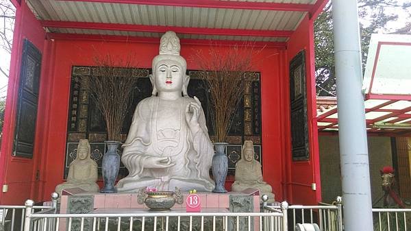 IMAG0237.jpg