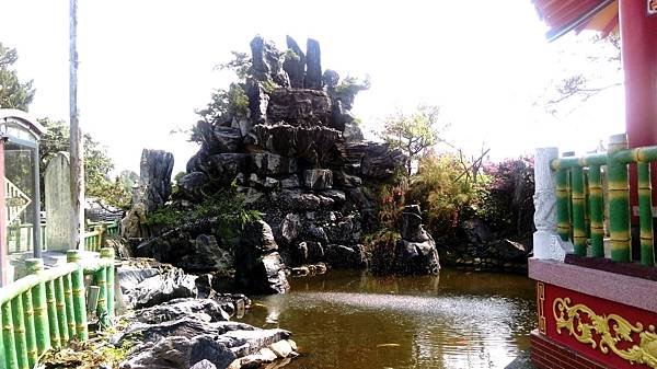 IMAG0294.jpg