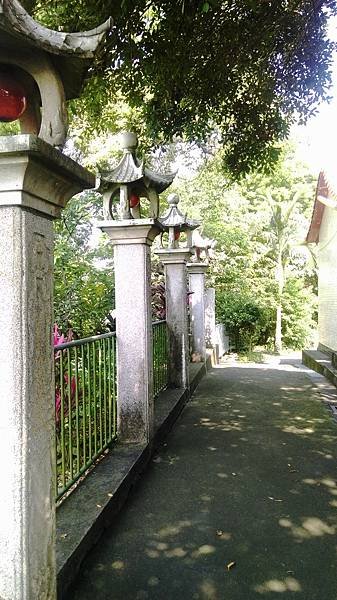 IMAG0303.jpg