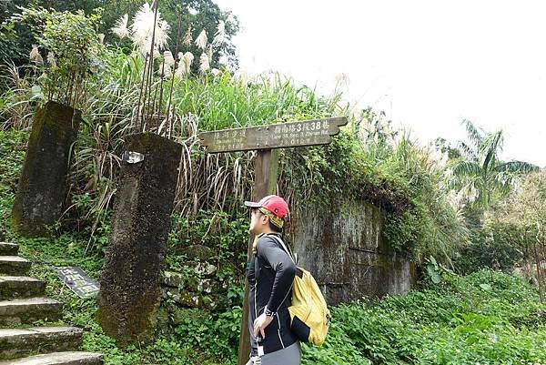 新北 貓空 銀河洞瀑布 絕美猶如仙境 半日遊也行 IG打卡景