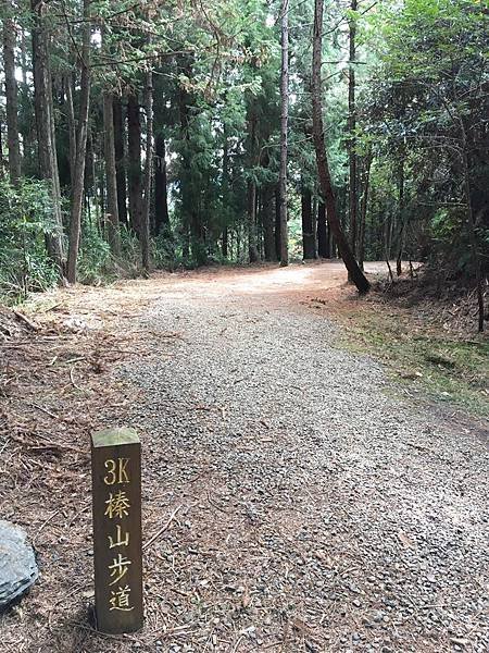 2018跨年觀霧榛檜樂步道之聖稜線傳說_190101_0163.jpg
