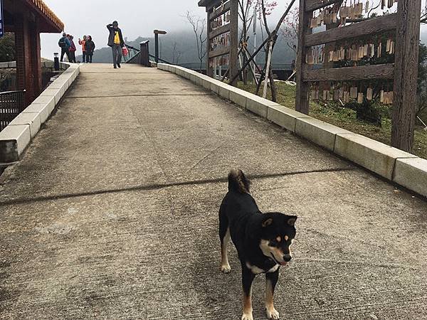 馬祖旅遊三天三夜 追尋藍眼淚之旅 南竿景點介紹推薦