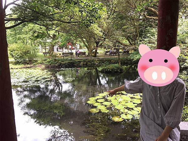 台北市近郊旅遊景點推薦陽明山秘境「前山公園」 適合親子戶外活