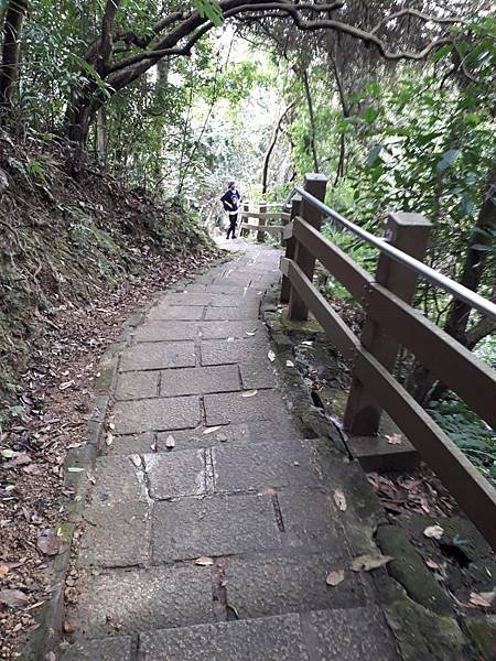 台北登山一日遊行程推薦四獸山虎山環狀路線_200403_0308.jpg