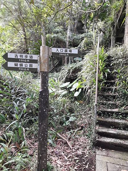 福山大羅蘭溪馬岸圳步道之新北烏來老街美食山豬肉香腸一日遊推薦_201002_22.jpg