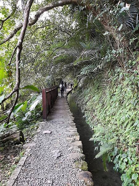 福山大羅蘭溪馬岸圳步道之新北烏來老街美食山豬肉香腸一日遊推薦_201002_36.jpg