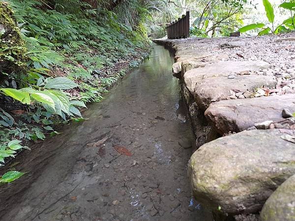 福山大羅蘭溪馬岸圳步道之新北烏來老街美食山豬肉香腸一日遊推薦_201002_37.jpg