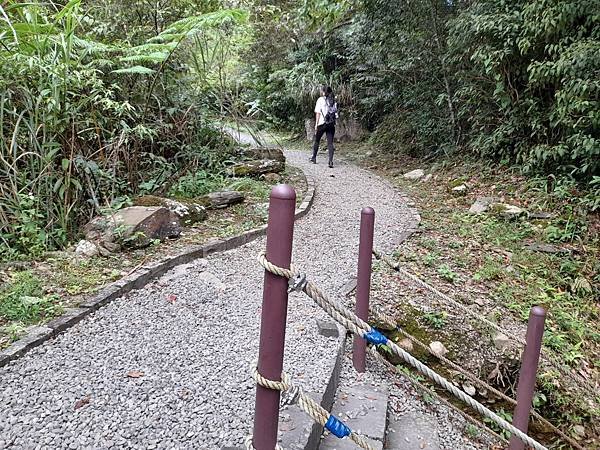 福山大羅蘭溪馬岸圳步道之新北烏來老街美食山豬肉香腸一日遊推薦_201002_43.jpg