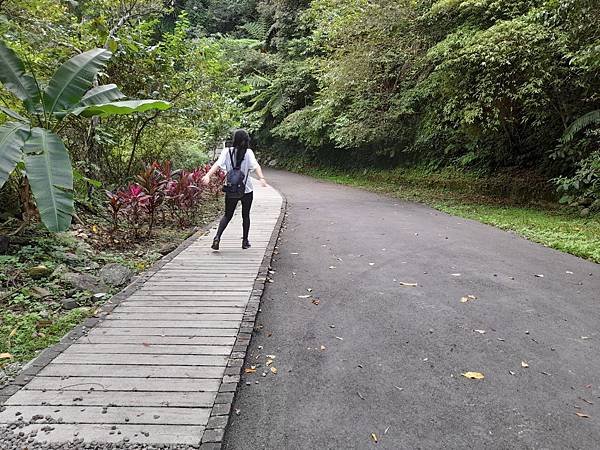 福山大羅蘭溪馬岸圳步道之新北烏來老街美食山豬肉香腸一日遊推薦_201002_45.jpg