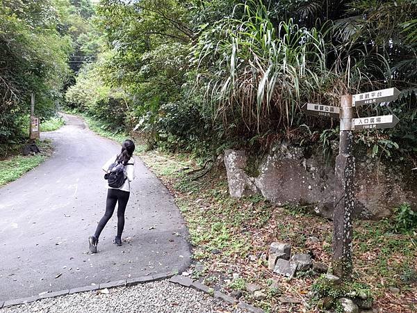 福山大羅蘭溪馬岸圳步道之新北烏來老街美食山豬肉香腸一日遊推薦_201002_44.jpg