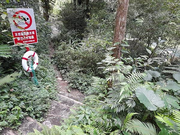 福山大羅蘭溪馬岸圳步道之新北烏來老街美食山豬肉香腸一日遊推薦_201002_94.jpg