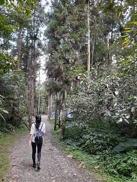 福山大羅蘭溪馬岸圳步道之新北烏來老街美食山豬肉香腸一日遊推薦_201002_91.jpg