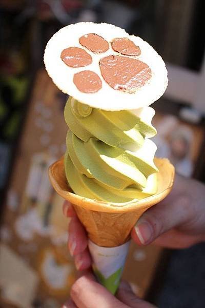 cat icecream