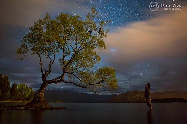 -Alone with an Icon- - Photography by +Paul Zizka www.zizka.ca Wanaka tree, New Zealand. #wanaka #tree #night