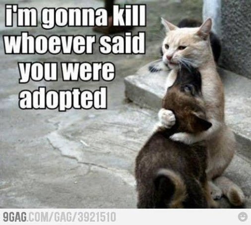 adopted