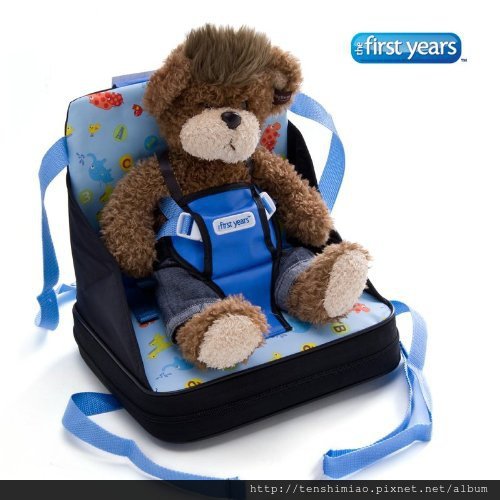 first year toddler seat