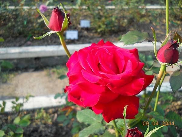 DSCN8662.JPG