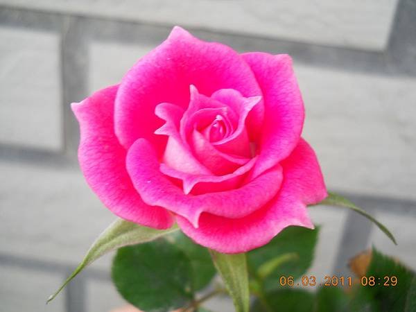 DSCN7614.JPG
