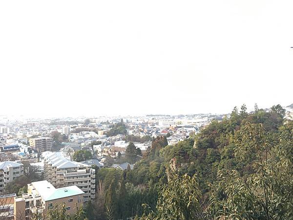 IMG_5234.JPG
