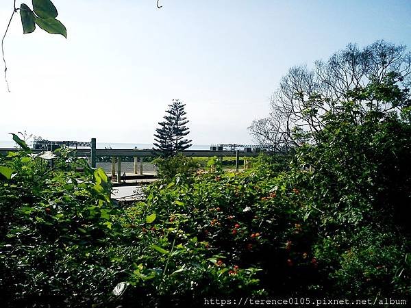 20170430_A31.JPG