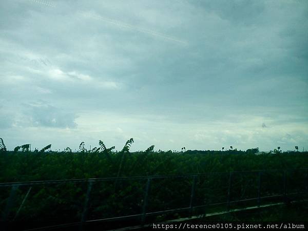 20170430_F03.JPG