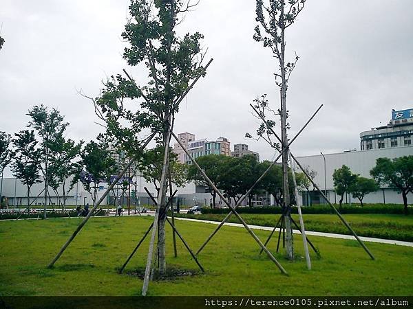 33TR_617_A04.JPG
