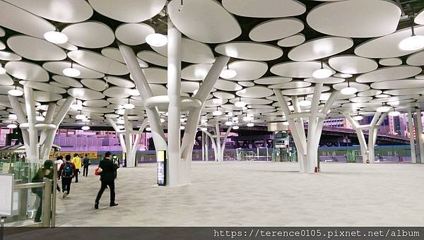20210226_bridge_D18.jpg