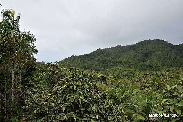 在Praslin Island慢活 五月谷海椰子保護區Val