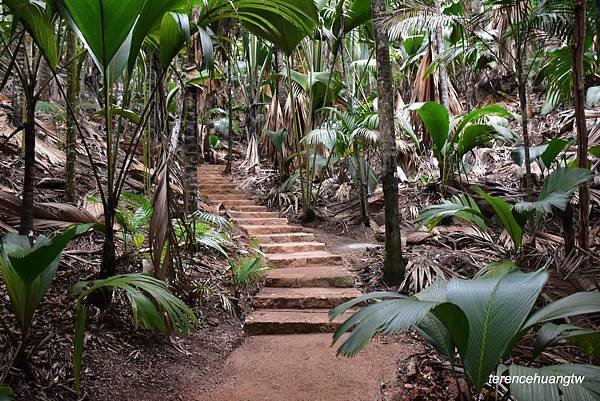 在Praslin Island慢活 五月谷海椰子保護區Val