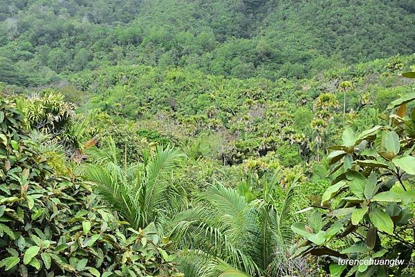 在Praslin Island慢活 五月谷海椰子保護區Val