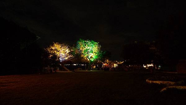 P1060509.JPG