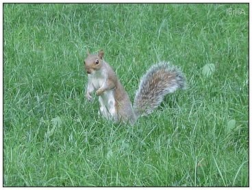 IMG_1810_nEO_IMG.jpg