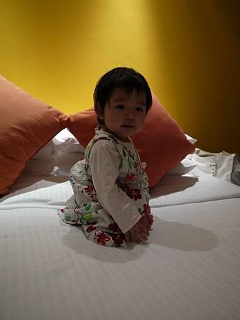P1000226_大小.JPG